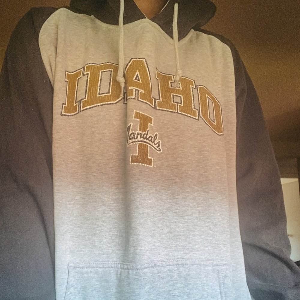 ncaa u of i hoodie